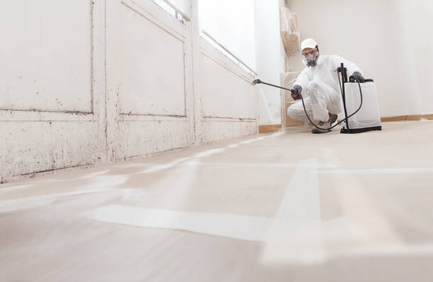 24/7 Emergency Black Mold Removal experts in Herndon, PA