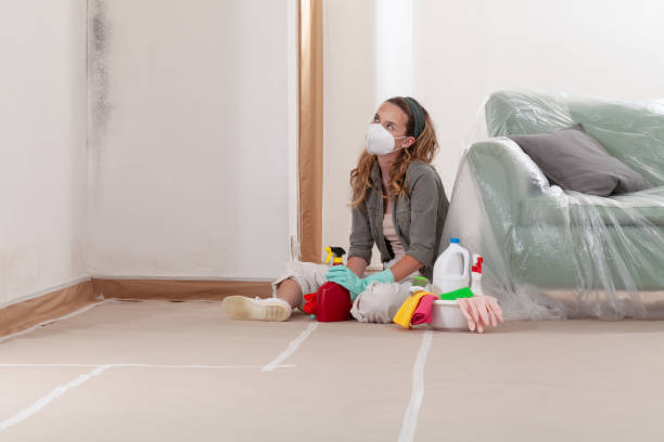 Trusted Basement Mold Remediation service in Herndon, PA - Cheap Mold Removal