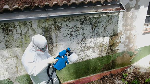 Trusted Mold Remediation service in Herndon, PA - Cheap Mold Removal